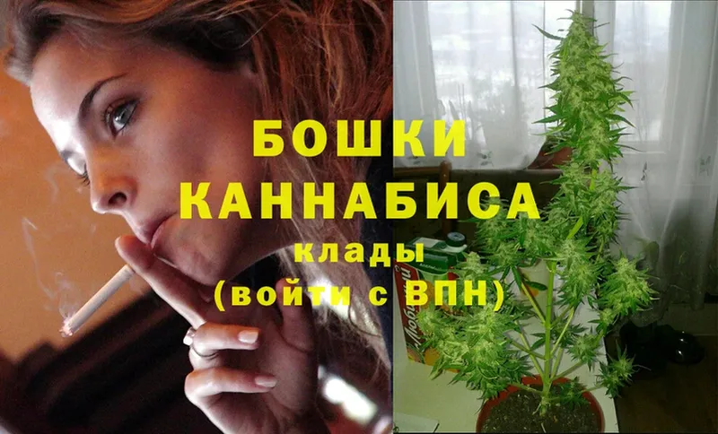 Бошки марихуана OG Kush  где купить наркоту  Благовещенск 